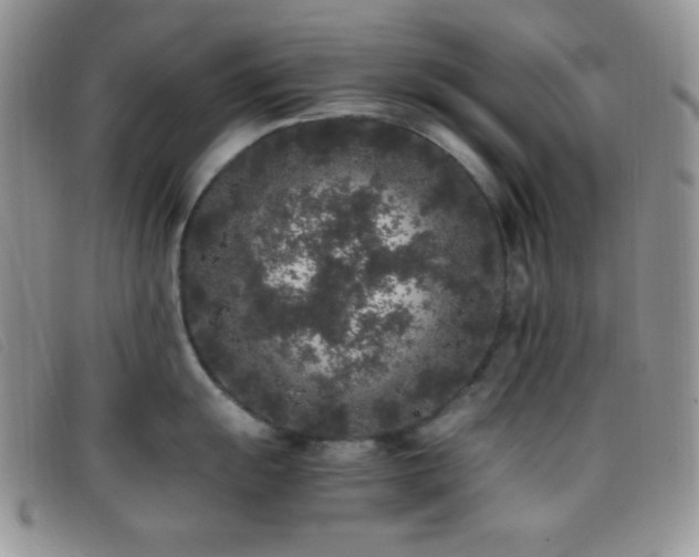X0000096671055200802051218