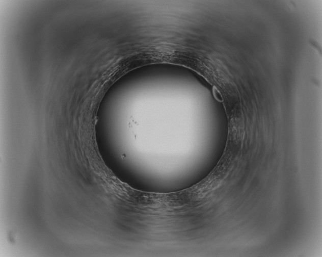 X0000096671057200802051217