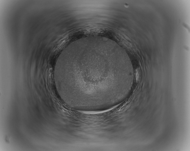 X0000096671059200802051217