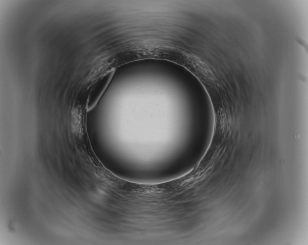 X0000096671060200802051217