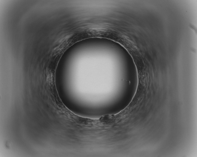X0000096671061200802051217