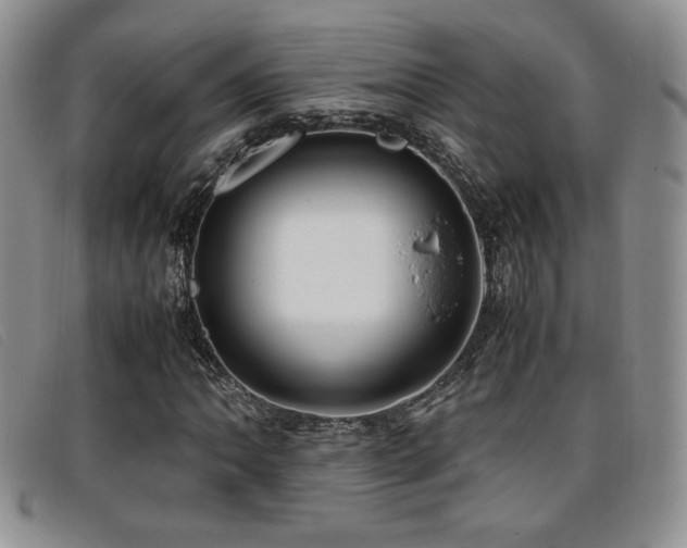 X0000096671062200802051217