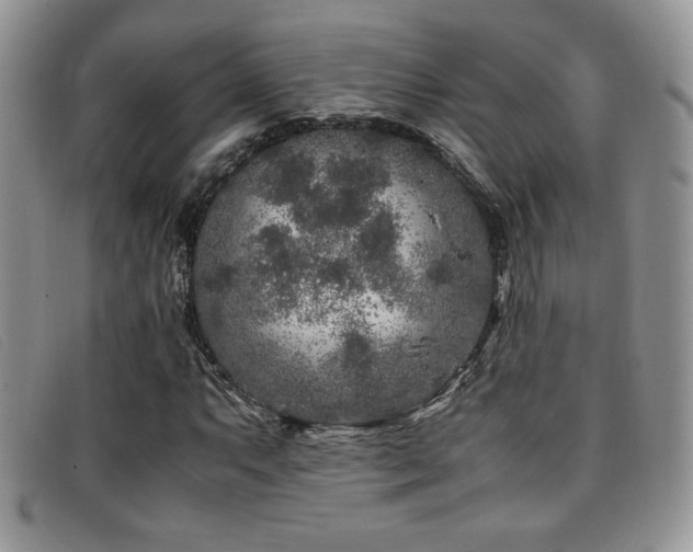 X0000096671063200802051217