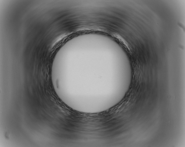 X0000096671064200802051217