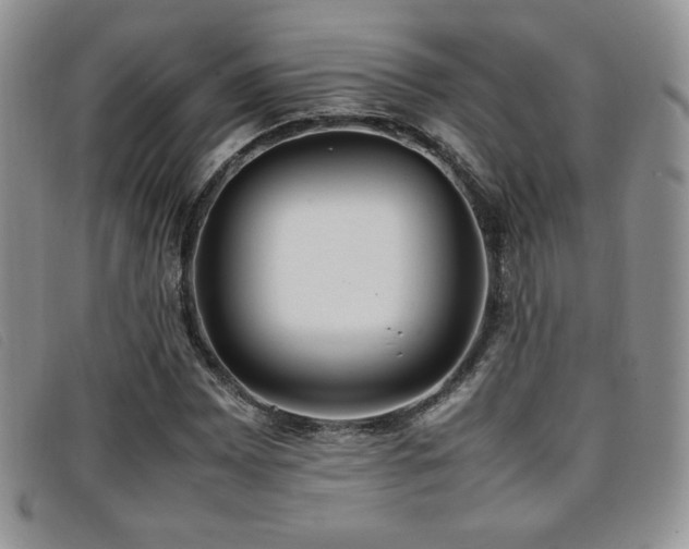 X0000096671065200802051217