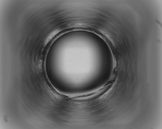 X0000096671066200802051217