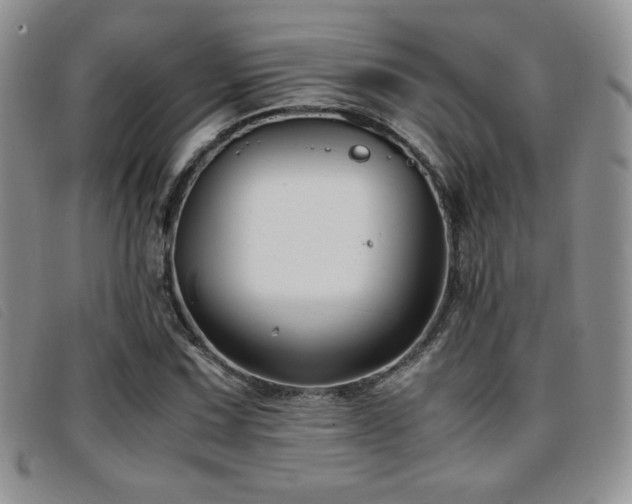 X0000096671067200802051217