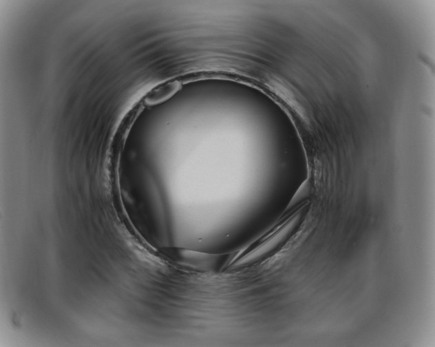 X0000096671068200802051217