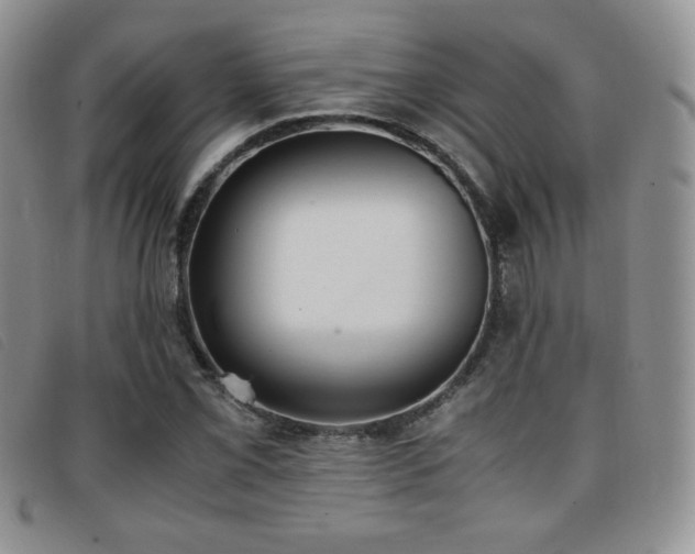X0000096671069200802051217