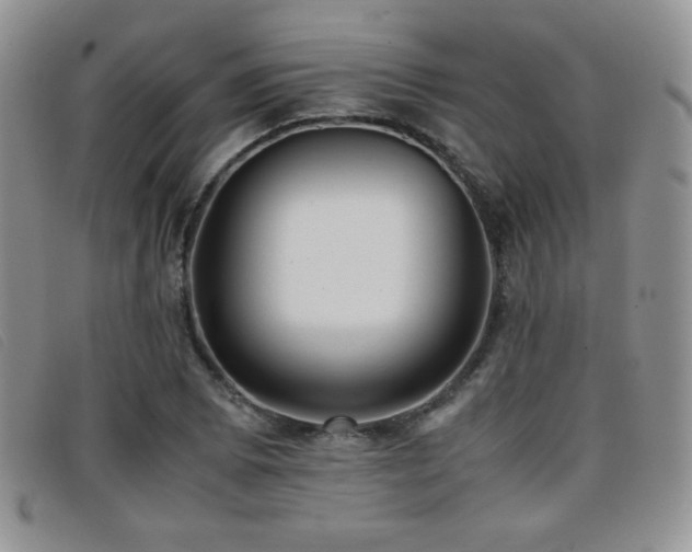 X0000096671073200802051217