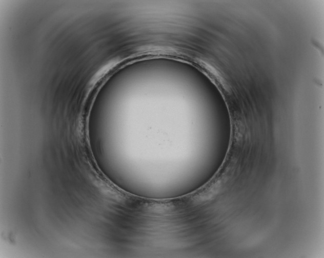 X0000096671074200802051217