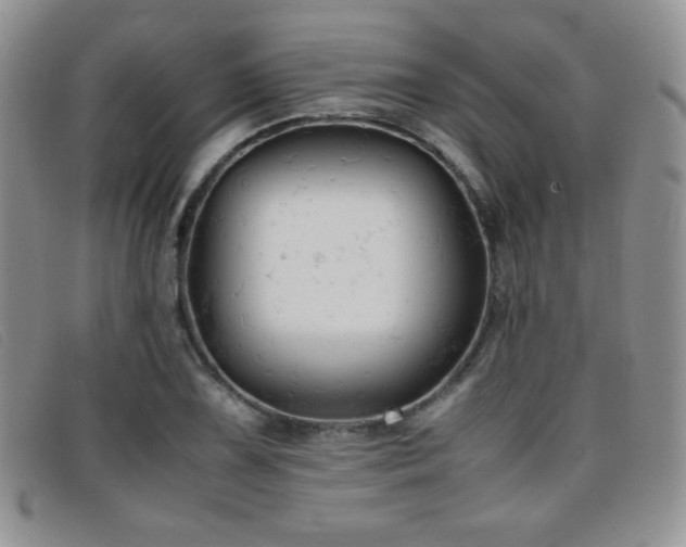 X0000096671075200802051217