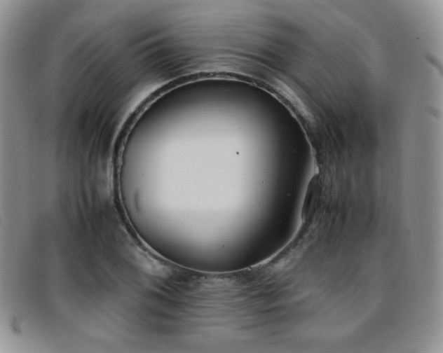 X0000096671076200802051217