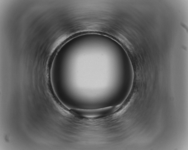 X0000096671077200802051217
