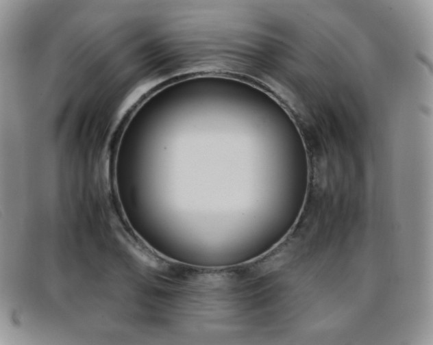 X0000096671078200802051217