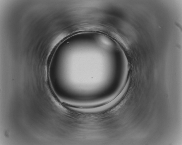 X0000096671079200802051217