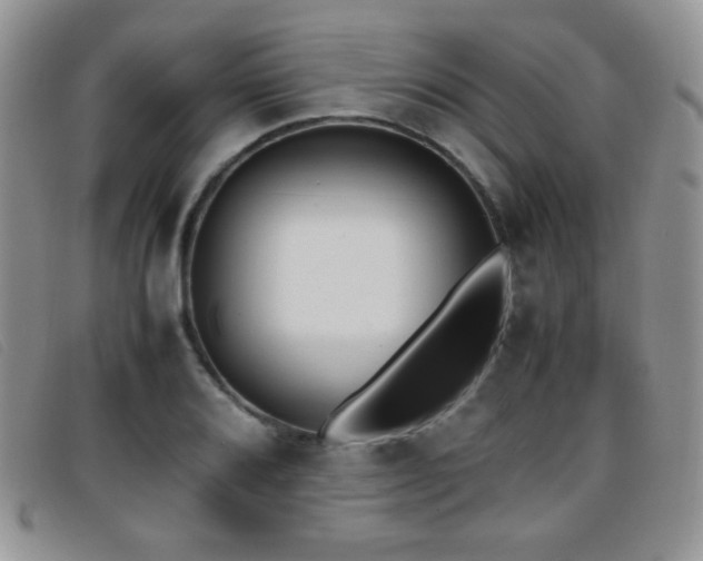 X0000096671080200802051217
