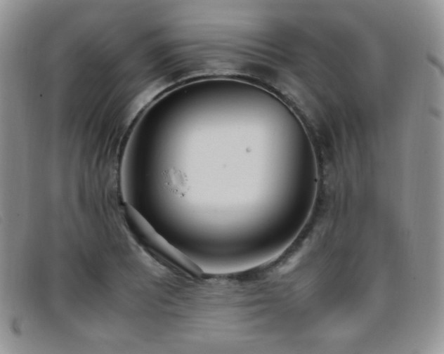 X0000096671081200802051217