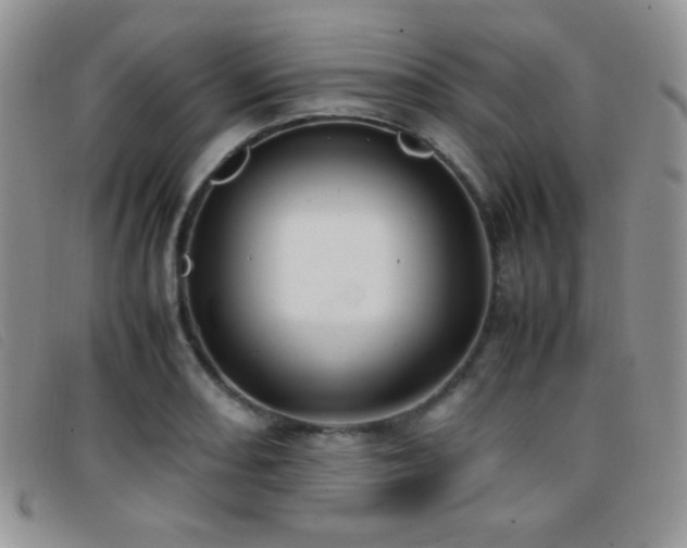 X0000096671082200802051217