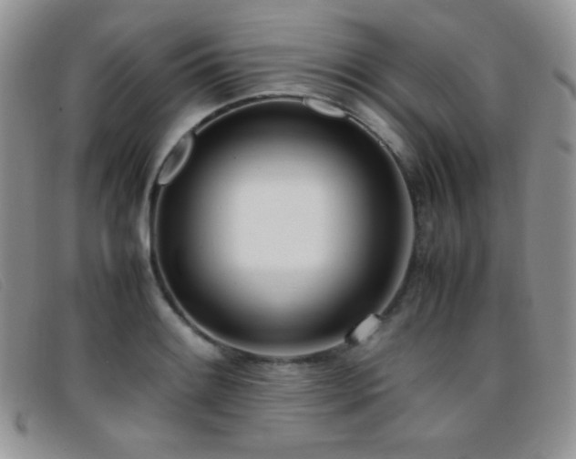 X0000096671084200802051217