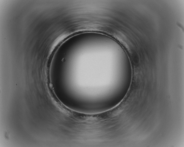 X0000096671085200802051217