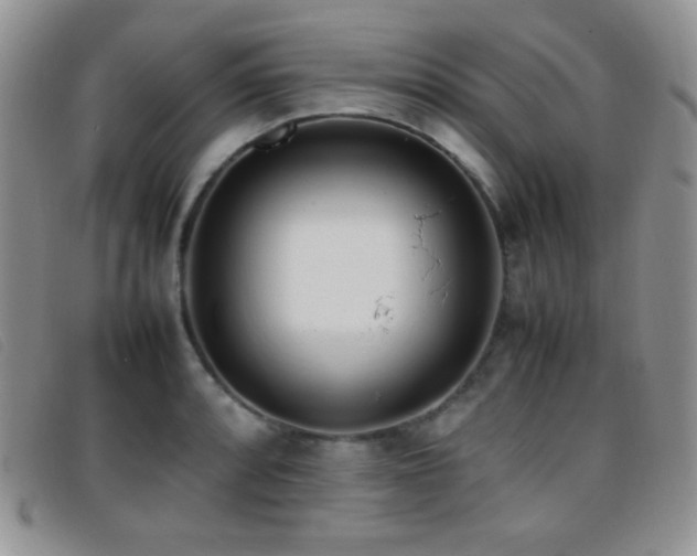 X0000096671088200802051217
