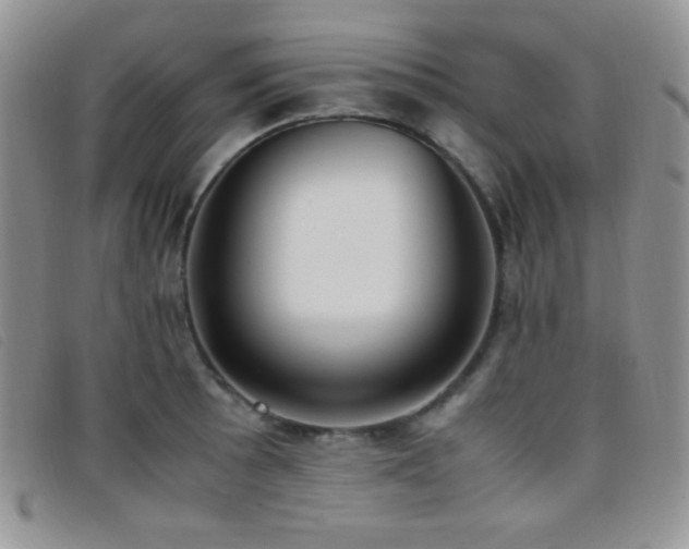X0000096671089200802051217