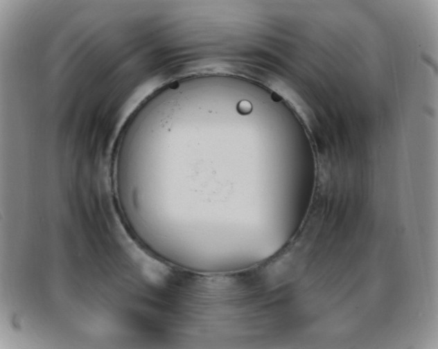 X0000096671090200802051217