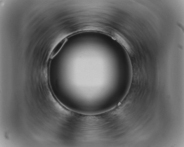 X0000096671092200802051217