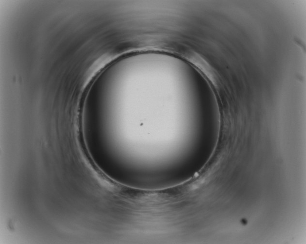 X0000096671093200802051217