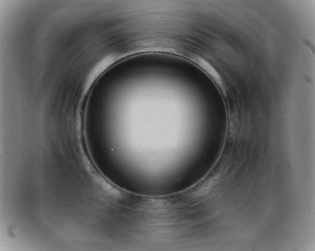 X0000096671096200802051217