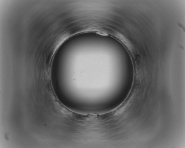 X0000096671097200802051217