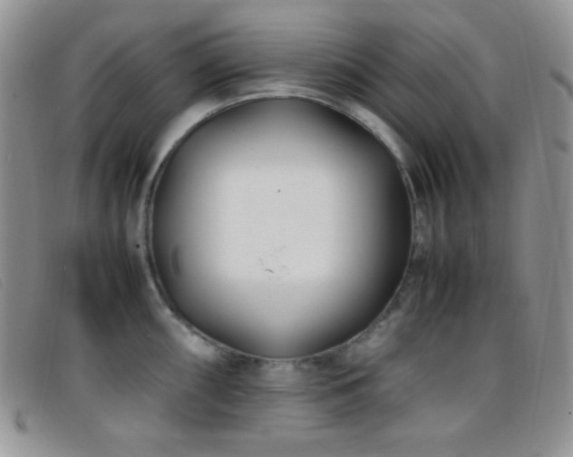 X0000096671098200802051217