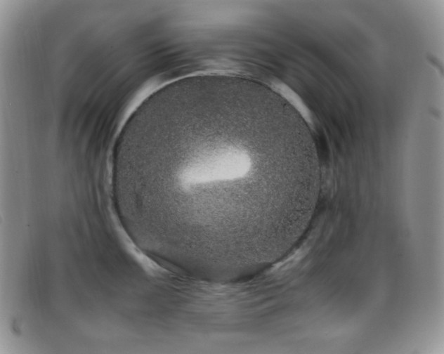 X0000096671099200802051217