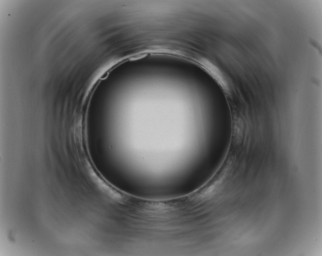 X0000096671100200802051217