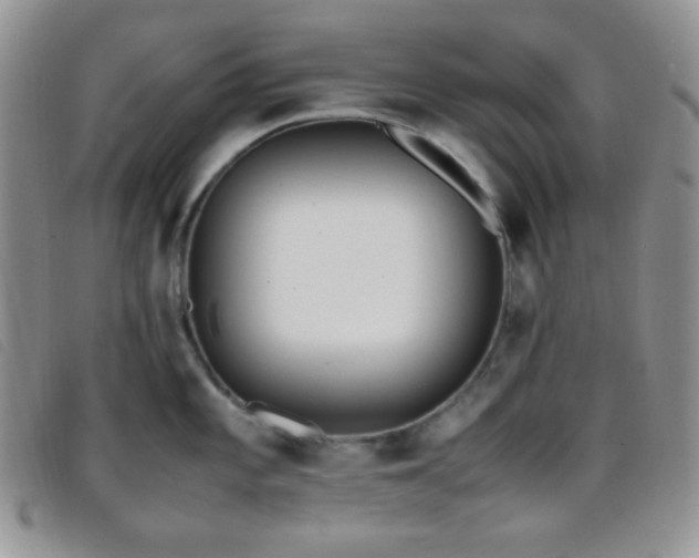 X0000096671101200802051217