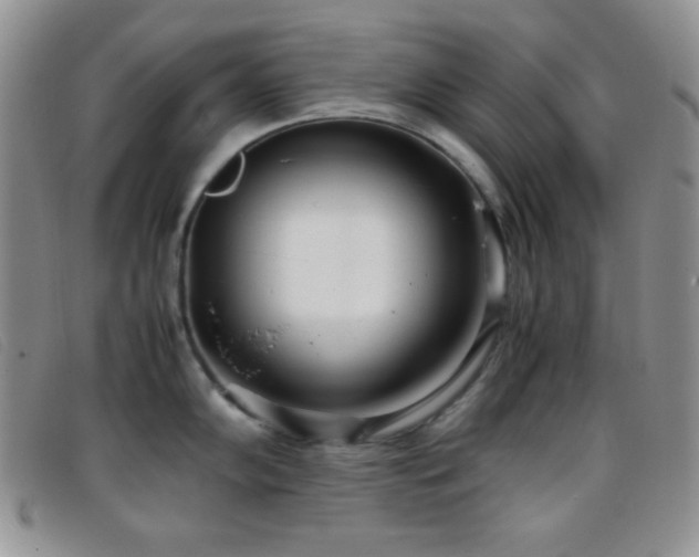 X0000096671102200802051217