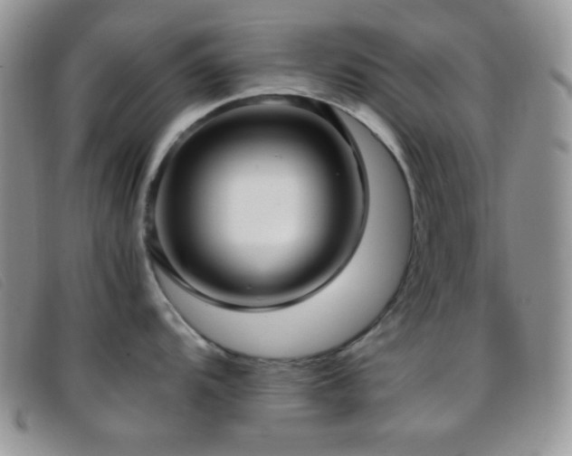 X0000096671104200802051217