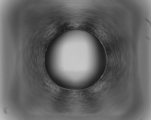 X0000096671105200802051216