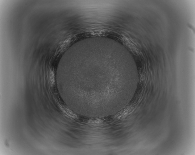 X0000096671106200802051216