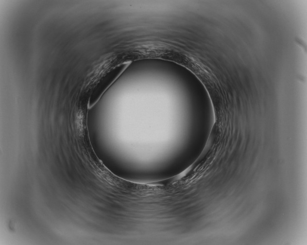 X0000096671108200802051216