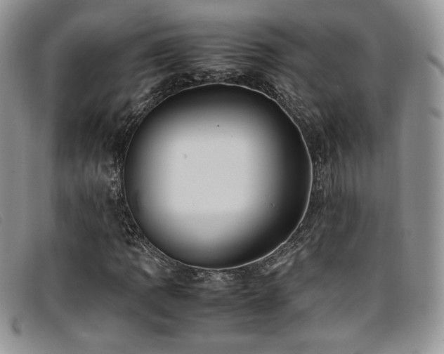 X0000096671109200802051216