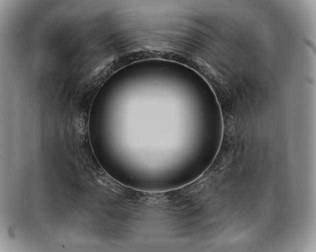 X0000096671110200802051216