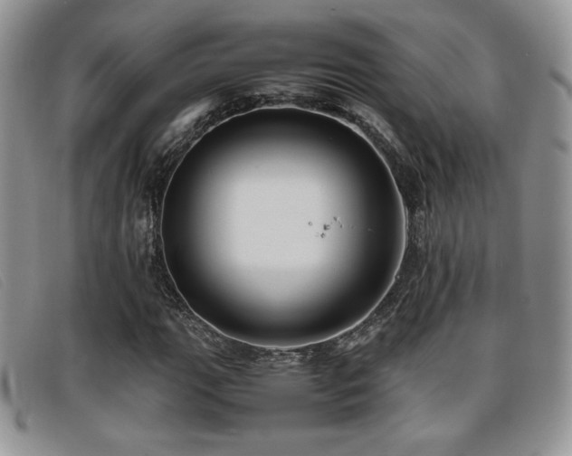 X0000096671111200802051216