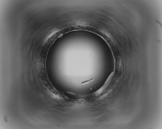 X0000096671112200802051216
