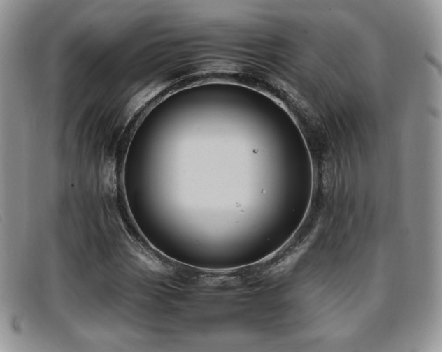 X0000096671113200802051216