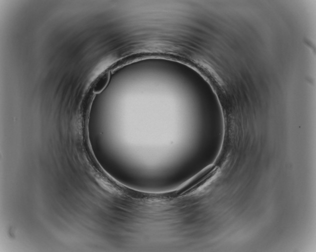 X0000096671114200802051216