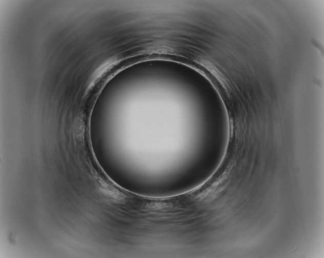 X0000096671115200802051216