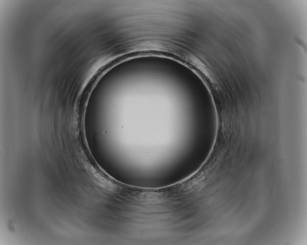 X0000096671116200802051216