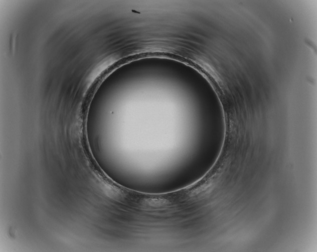 X0000096671119200802051216